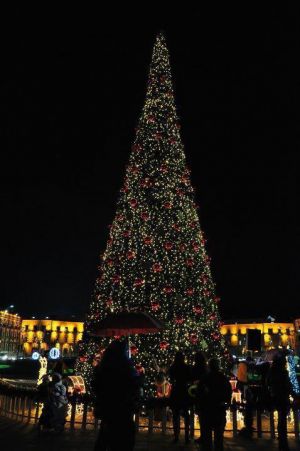 Christmas trees - mylusciouslife.com - christmas tree in city.jpg